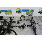 Ducati Hypermotard 796 Wiring Harness Loom Main 2010 2011 2012 B085