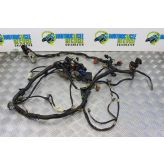 Honda VFR 800 Wiring Harness Loom Pre-HISS 1998 to 1999 VFR800 B050
