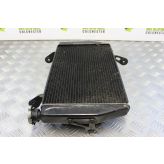 Ducati Multistrada 1200 Radiator with Fans 2010 to 2012 MTS B076