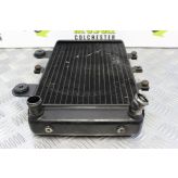Triumph Thunderbird Sport 900 Radiator 1997 to 2004 B101
