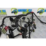 Ducati Monster 1100 Evo Wiring Harness Loom Main 2012 2013 M1100 B082