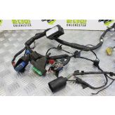 Honda VFR 750 F Wiring Harness Loom Main 1994 to 1997 VFR750 VFR750F B105