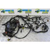 Ducati Multistrada 1200 Wiring Harness Main Loom 2010 to 2012 MTS B076