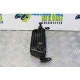 Triumph Speed Triple 955 Oil Cooler 2002 to 2004 955i B054