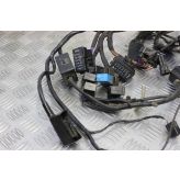 Triumph Tiger 800 Wiring Harness Loom 2010 to 2014 B174