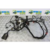 Ducati Hypermotard 796 Wiring Harness Loom Main 2010 2011 2012 B085