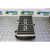 Yamaha FZ8 Fazer Radiator With Grill Guard 2010 to 2015 FZ8S FZ8N B051