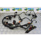 Honda NT 700 V Wiring Harness Main ABS Deauville 2006 to 2010 NT700V B057