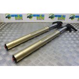 Ducati Multistrada 1200 Forks Fork Legs Straight 2010 to 2012 MTS B076
