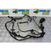 Suzuki GSF 650 Bandit Wiring Harness Loom 2005 2006 GSF650 B066