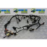 Triumph Legend TT Wiring Harness Loom Main 1998 to 2001 900 B052