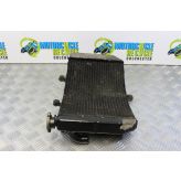 Honda CBR 600 Sport Radiator with Cap 2001 2002 FS1 FS2 CBR600 B096
