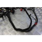Ducati Hypermotard 796 Wiring Harness Loom Main 2010 2011 2012 B085