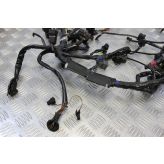 Triumph Speed Triple 1050 Wiring Harness Main Loom 2005 to 2007 B056
