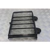 Triumph Legend TT Radiator Guard Grill 1998 to 2001 900 B052