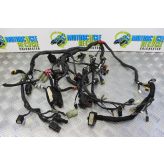 Ducati Monster 1100 Evo Wiring Harness Loom Main 2012 2013 M1100 B082