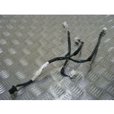 Honda CBR600RR CBR600 RR RR3 2003 Ignition Coil Wiring Harness Loom #448
