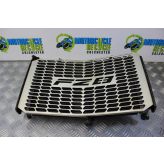 Yamaha FZ8 Fazer Radiator With Grill Guard 2010 to 2015 FZ8S FZ8N B051