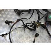 Triumph T595 Daytona Wiring Harness Main Loom 1997 1998 T 595 B175
