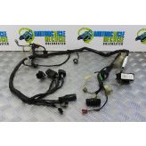 Honda XRV 750 Africa Twin Wiring Harness Loom Main 1996 to 2003 RD07A B074