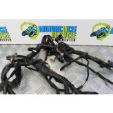 Triumph T595 Daytona Wiring Harness Main Loom 1997 1998 T 595 B175