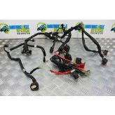 Yamaha FZ8 Fazer Wiring Harness Main Loom 2010 to 2015 FZ8S FZ8N B051