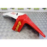 Honda CBR 900 RR Panel Rear Tail Left Fireblade RRW 1998 1999 CBR900 B053