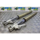 Yamaha YZF R1 4XV Forks Fork Legs Straight 1998 1999 YZF-R1 B086