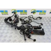 Triumph Street Triple 675 ABS Wiring Harness Main Loom 2014 2013 to 2016 B049