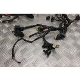 Triumph Adventurer 900 Wiring Harness Loom Main 1996 to 2001 B100