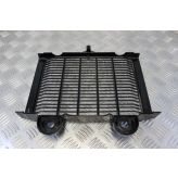 Triumph Legend TT Radiator Guard Grill 1998 to 2001 900 B052