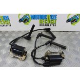 Honda CBR 900 RR Ignition Coils Caps Leads Fireblade RRW 1998 1999 CBR900 B053