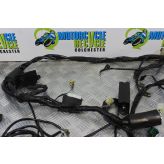 Aprilia RSV 1000 Mille Wiring Harness Main Loom 2001 2002 RSV1000 B047