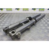 Honda VFR 800 Forks Fork Legs Straight 1998 to 2001 VFR800 VFR800F B050