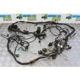 Aprilia RSV 1000 Mille Wiring Harness Main Loom 2001 2002 RSV1000 B047