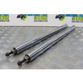 BMW R 1150 GS Fork Stanchions Chrome Sliders R1150GS 1999 to 2001 B055