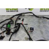 Suzuki RF 900 Wiring Harness Loom RF900R RF900 1994 to 1999 B060