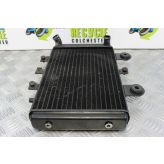 Triumph Thunderbird Sport 900 Radiator 1997 to 2004 B101