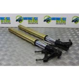 Triumph Speed Triple 1050 Fork Legs Forks Straight 2005 to 2007 B056
