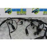 Triumph Legend TT Wiring Harness Loom Main 1998 to 2001 900 B052