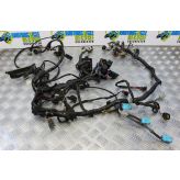 Triumph T595 Daytona Wiring Harness Main Loom 1997 1998 T 595 B175