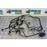Suzuki RF 900 Wiring Harness Loom RF900R RF900 1994 to 1999 B060