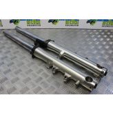 Triumph Thunderbird Sport 900 Forks Fork Legs Straight 1997 to 2004 B101