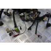 Triumph T595 Daytona Wiring Harness Main Loom 1997 1998 T 595 B175