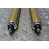 Triumph Speed Triple 1050 Fork Legs Forks Straight 2005 to 2007 B056