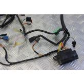 Suzuki RF 900 Wiring Harness Loom RF900R RF900 1994 to 1999 B060